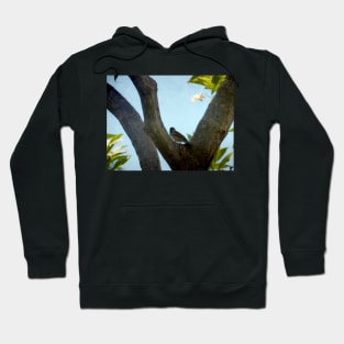 A Bird in a Tree Hoodie